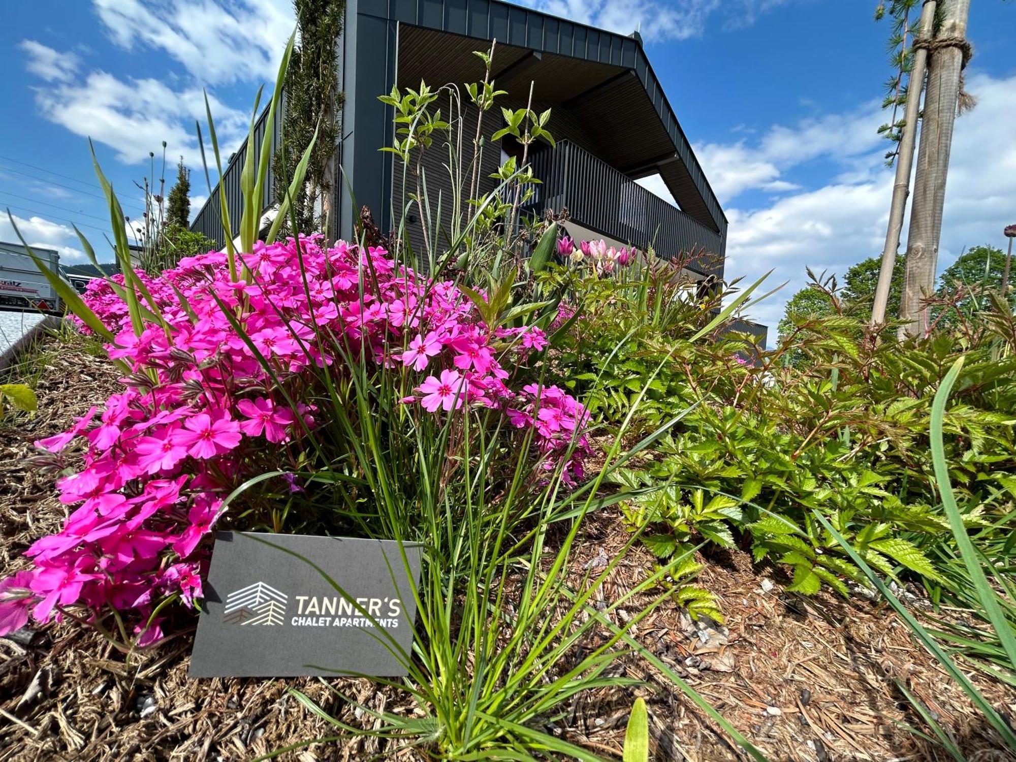 Tanners Chalet Apartments Altenmarkt im Pongau Εξωτερικό φωτογραφία